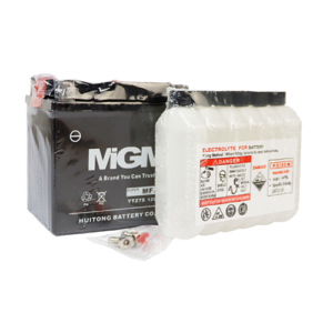 BATERIA YTZ7S MGM