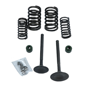 SET D/ VALVULAS ADM/ESC BAJAJ PULSAR NS2