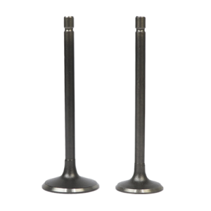 SET D/VALVULAS ADM/ESC TIPO GY200 KIMTEC