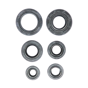 SET DE RETENEDORES DE MOTOR BM1OO BAJAJ