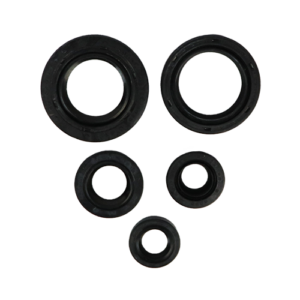 SET DE RETENEDORES DE MOTOR PULSAR 180UG