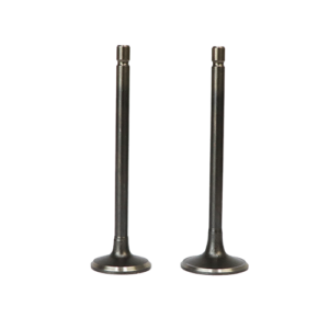 SET DE VALVULAS ADM/ESC AN125 KIMTEC