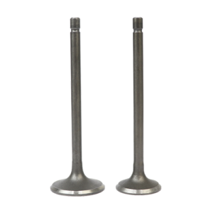 SET DE VALVULAS ADM/ESC JIALING JH125-II