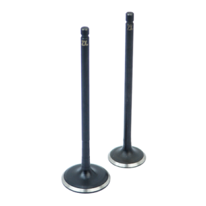 SET DE VALVULAS DE ADM/ESC DISCOVER 125