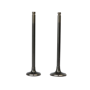 SET DE VALVULAS DE ADM/ESC GN125H/F