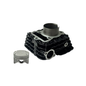 KIT DE CILINDRO Y PISTON Pulsar 125 NS