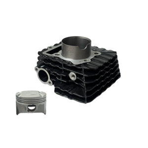KIT DE CILINDRO Y PISTON Pulsar 160 NS