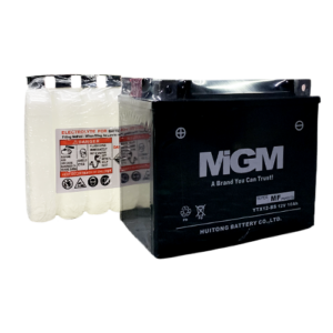 BATERIA YT12B-BS MGM