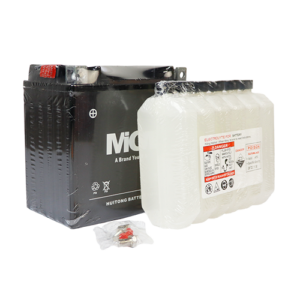 BATERIA YTX14-BS MGM