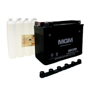 BATERIA YTX24HL-BS MGM