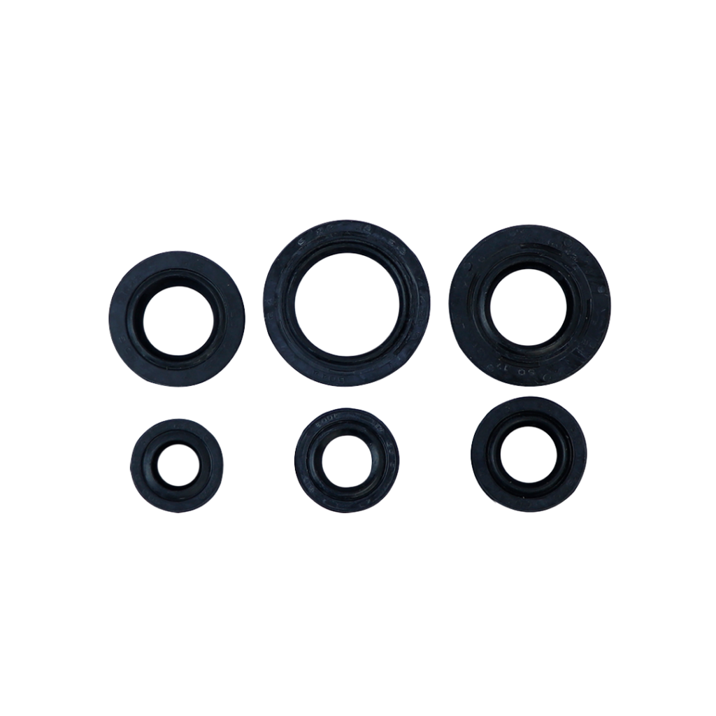SET DE RETENEDORES DE MOTOR BOXER BM 100 YOTO