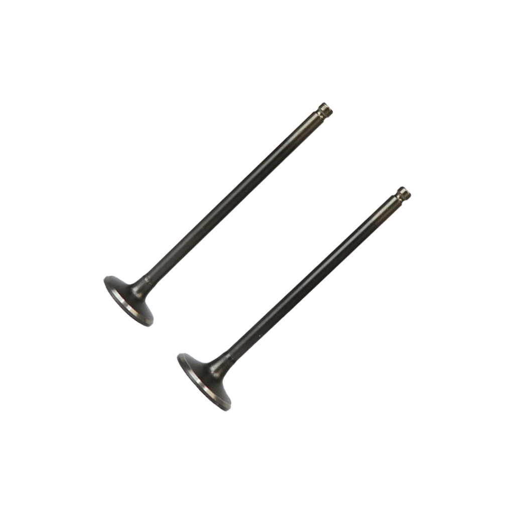 SET DE VALVULAS DE ADM/ESC KIMTEC GN125H/F